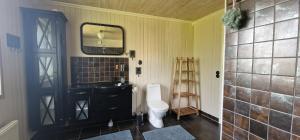 a bathroom with a toilet and a sink and a mirror at Michel-Inn-Your Scandinavian Escape! in Faggemåla +21 photos