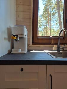a kitchen with a mixer on a counter next to a window at Pine House Domek 22 in Borsk +5 photos