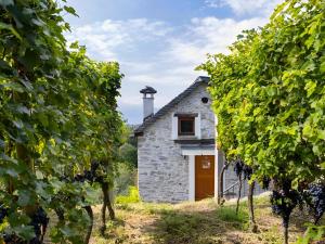an old stone house in a field of grapes at Locanda L'Amorosa in Sementina +33 photos