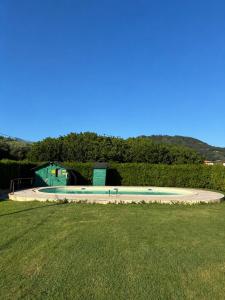 a swimming pool in a field with a grass field at Il Chicco d'Oro in Massarosa