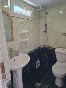 a bathroom with a toilet and a sink at Shorena apartments in Tbilisi City