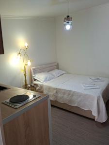a hotel room with a bed and a table with a counter at Shorena apartments in Tbilisi City