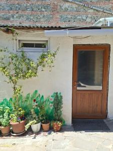 a group of potted plants sitting in front of a door at Shorena apartments in Tbilisi City