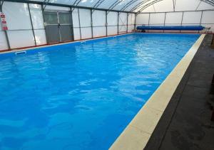 a large swimming pool with blue water in a building at Elmrise View in Llanstephan