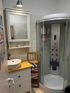 a bathroom with a shower and a sink at Fenyves Bay Apartman in Balatonfenyves