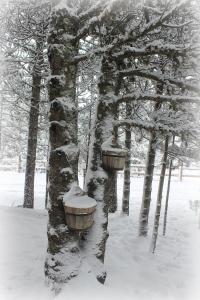 Vikendica Pahuljica v zimě