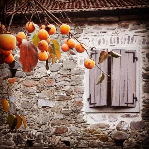 Fotografie z fotogalerie ubytování Ai Chiosi affittacamere v destinaci Pontremoli
