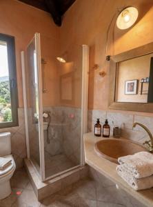 a bathroom with a shower and a sink and a toilet at Olive House Galaxidi in Galaxidi +18 photos