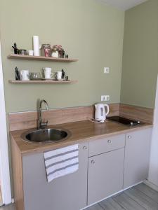 a kitchen with a sink and a counter at Villa Aba apartments in Sarajevo +68 photos