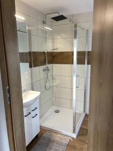 a bathroom with a shower and a sink at Na Młace Apartament z widokiem in Witów
