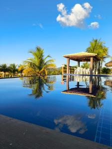 a pool with a gazebo and palm trees at Pousada Villa Ricca Park in Niquelândia