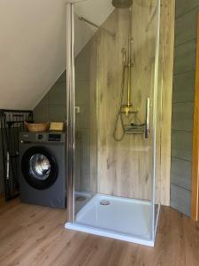 a washing machine in a room with a shower at Dorfstübli - gemütliche und ruhige Zimmer in Ortsrandlage in Alt Schönau