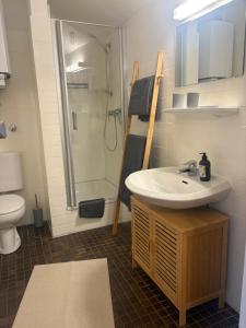 a bathroom with a sink and a shower at Ferienwohnung Fortuna in Borkum +7 photos