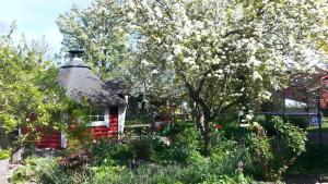 a small house with a thatched roof in a garden at Haus an der Pferdekoppel Nr 3 in Fehmarn
