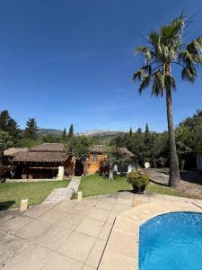 a house with a palm tree and a swimming pool at CAN TRUI Ca na Teresa in Pollença