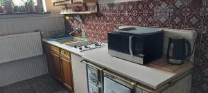 a kitchen with a microwave and a stove top oven at Agroturystyka Zielony Ogród in Ścinawka Średnia