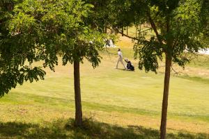 a man walking a dog in a field with a person walking at Luxury Experience Suites in Toledo