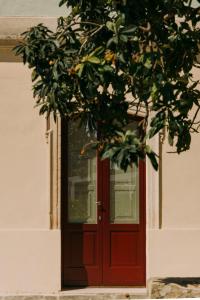 a red door with a tree in front of it at Villa Gloria in Monteroni di Lecce +106 photos
