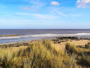 a beach with a group of birds on the sand at Elm Barn Lodge in Freethorpe