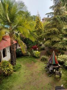 a yard with a tent and a palm tree at Newari chulo ghar in Bhaktapur
