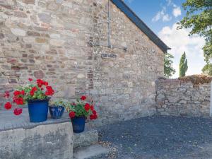 two pots of red flowers sitting next to a brick wall at The Stables - Cottage in Raglan