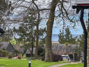 a house with a tree and a car parked in a yard at Spruce Cottage in Tywardreath