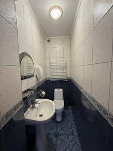 a bathroom with a sink and a toilet at Ватрич House in Chernivtsi