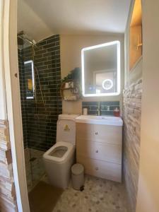 a bathroom with a toilet and a sink and a mirror at Chambre & grande Terrasse Privées, Vue Montagne - Chalet Bella Rosa in Argein
