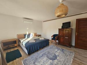 a bedroom with a bed and a tv and a chair at Kapolcsi Kuckó in Kapolcs