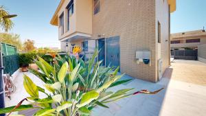 a plant in front of a building with a blue door at Villa Arenal in L'Ampolla