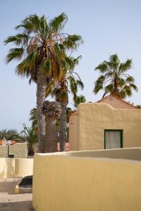 two palm trees in front of a building at La casa de Samuel y Laia in Costa Calma
