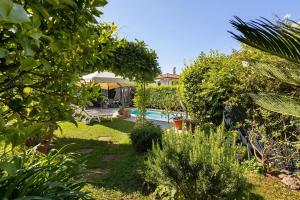 a garden with a swimming pool and trees at Il Giardino di Magò in Massa