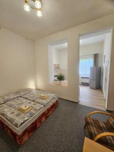 a bedroom with a bed and a living room at Apartmán Příkrá in Děčín
