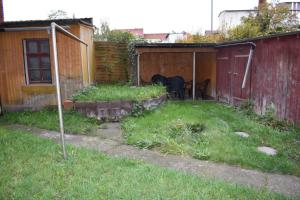 a yard with a fence and a house at Revant Monteurzimmer Haus in Arnstadt +8 photos