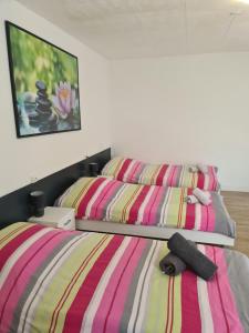 two beds in a bedroom with a stuffed animal on the bed at Studio 3 lits in Saint-Louis