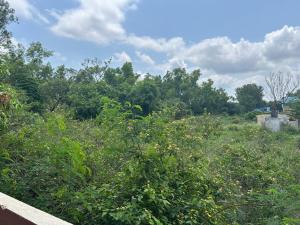 a view of a field with trees and bushes at RoyalNest Gardenia in Belgaum +6 photos
