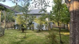 a yard with trees in front of a house at Gabala mountain house in Gabala