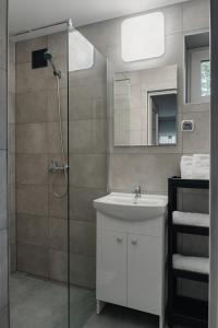 a bathroom with a shower with a sink and a mirror at Rewita Pieczyska in Koronowo +26 photos