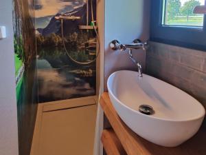 ein Badezimmer mit weißem Waschbecken und Dusche in der Unterkunft Spektakuläres Tiny House im Teich mit Terrasse und Kamin in Großharthau