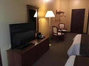 una habitación de hotel con TV en un tocador en Motel Cofotel, en Saint-Siméon