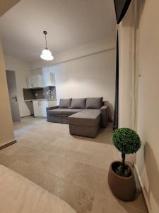 ein Wohnzimmer mit Sofa und Topfpflanze in der Unterkunft Manis Central Studios in Skala Sotiros