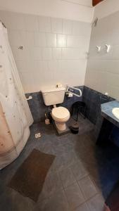 a bathroom with a toilet and a sink at El Hostal del Rio in Aluminé +34 photos