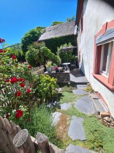 a backyard with a garden with flowers and a house at Ferienhaus Mia in Neumagen-Dhron