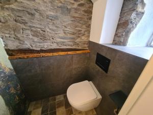 a bathroom with a toilet and a stone wall at Ferienhaus Mia in Neumagen-Dhron +9 photos