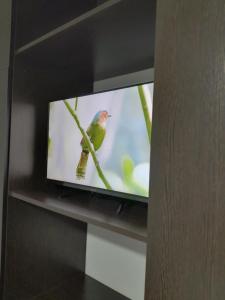 a television screen with a bird on a branch at Bienvenidos a mi casa in Chajarí +2 photos
