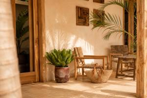 a porch with a potted plant and chairs and a door at Villa Kampung in Gili Islands