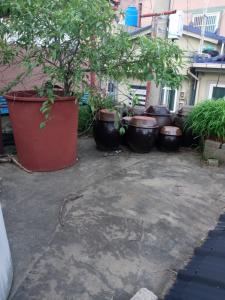 a group of large pots with trees in them at Kseashorehouse in Nŏmŏ