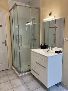 a bathroom with a shower and a white sink at La Sauveroise in Saint-Sauveur-en-Puisaye +16 photos