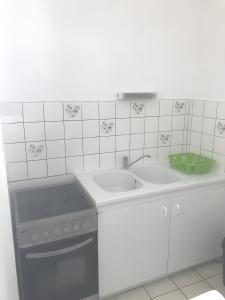 a white kitchen with a sink and a dishwasher at Acionna Résidence Studio 30 M² in Bourbonne-les-Bains +4 photos