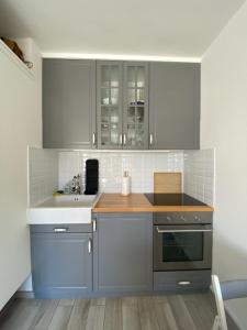 a kitchen with gray cabinets and a sink at Le Sunny Hardelot in Neufchâtel-Hardelot +4 photos
